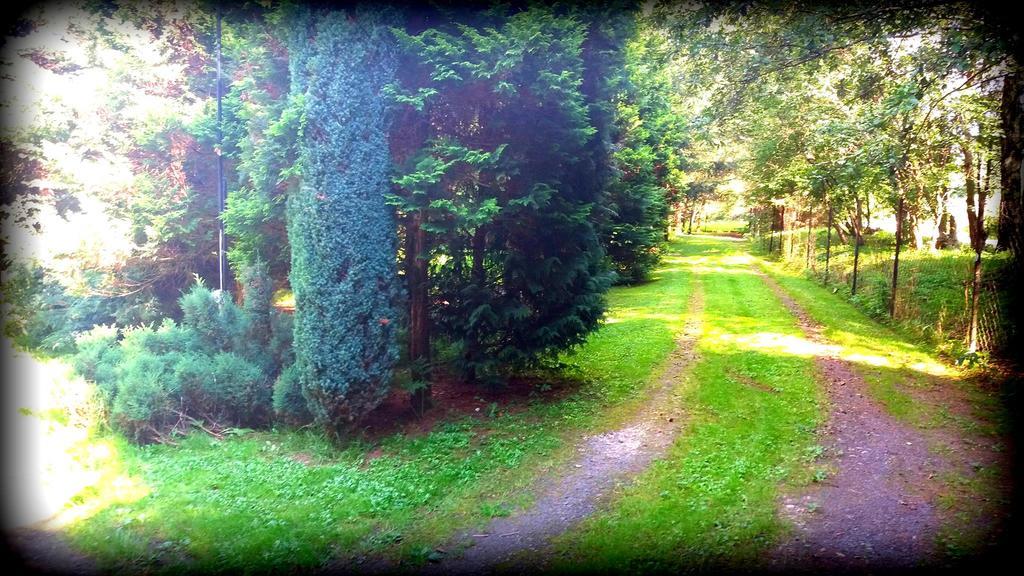 Maja Pokoje Goscinne Lądek-Zdrój Exterior foto