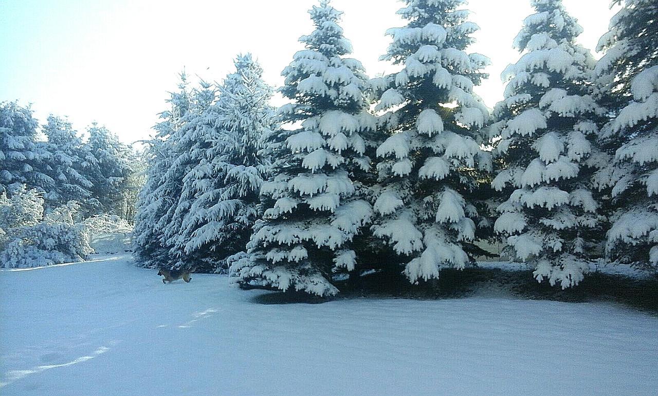 Maja Pokoje Goscinne Lądek-Zdrój Exterior foto