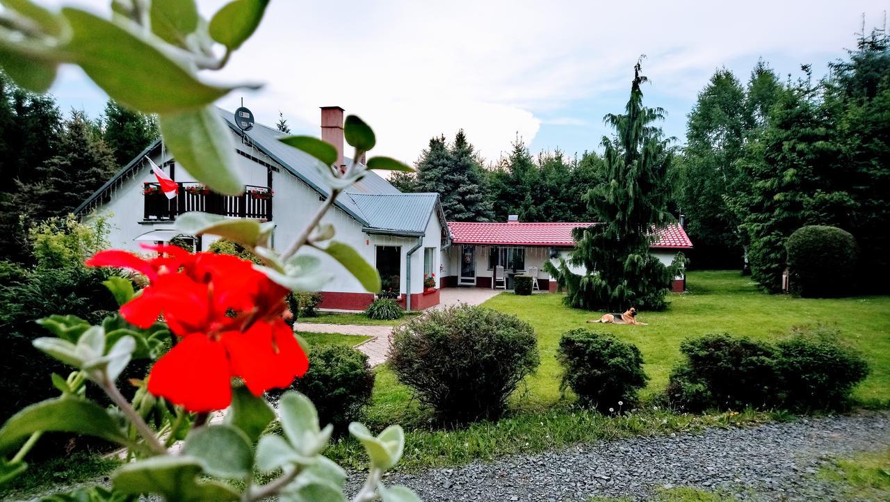 Maja Pokoje Goscinne Lądek-Zdrój Exterior foto